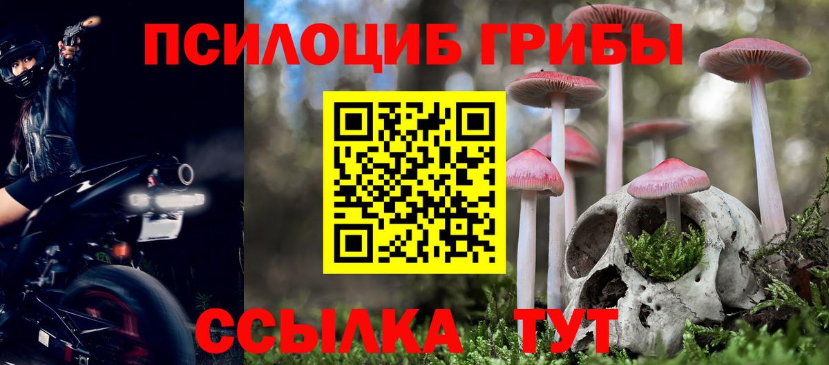 Галлюциногенные грибы Cubensis  Галлюциногенные грибы GOLDEN TEACHER  Касимов  Вход с VPN 
